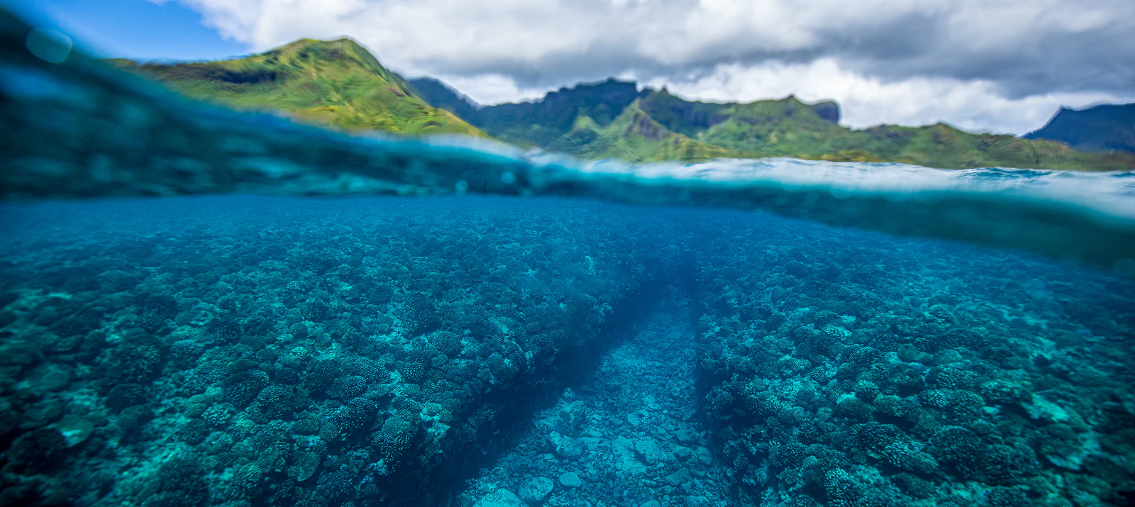 מערכת היחסים הארוכה של ריף עם חופי הים